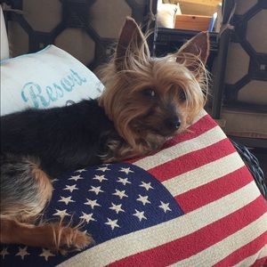 Meet your Posher, Gloria